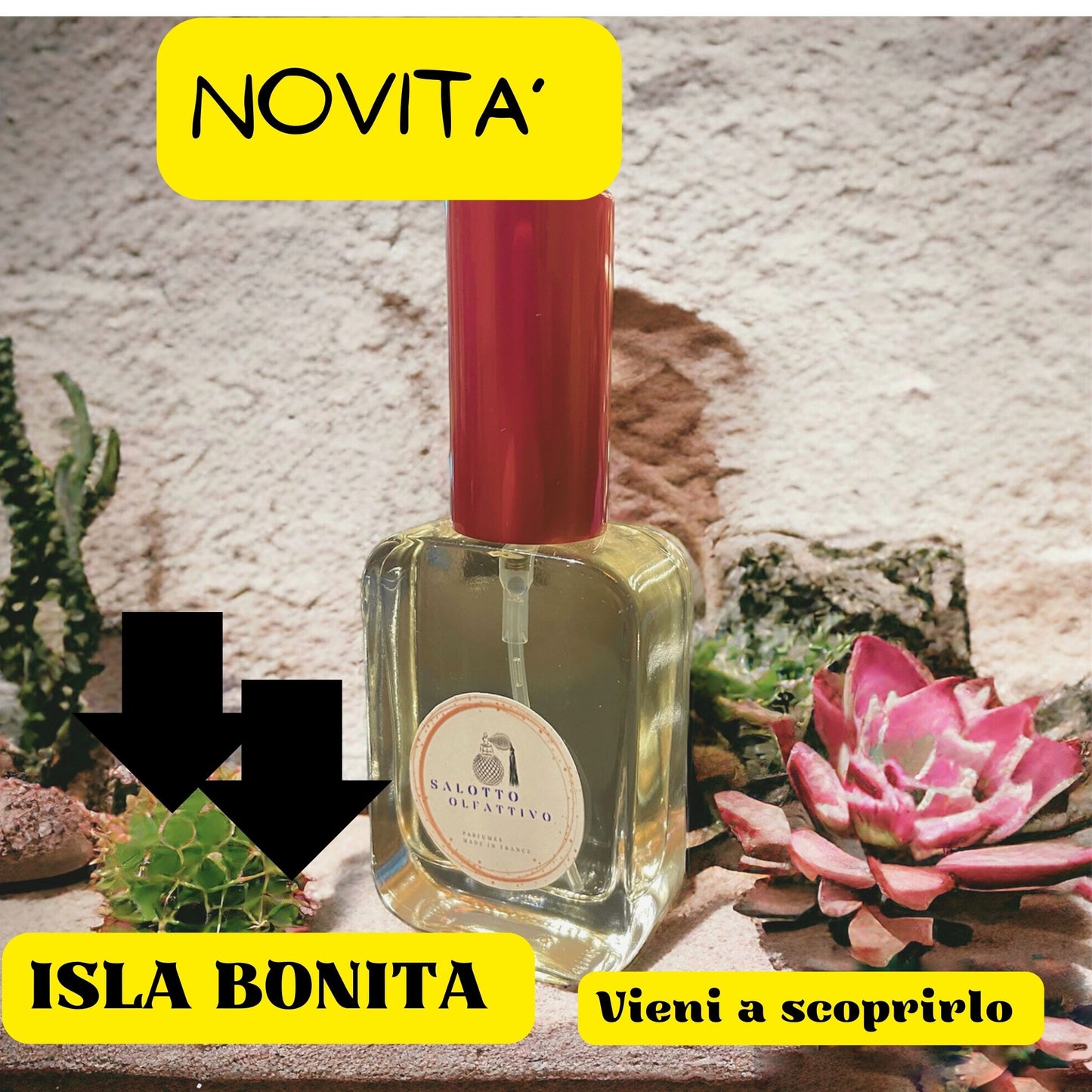 ISLA BONITA Made Olfactorian Living Room ähnlich wie Narcissus All of me